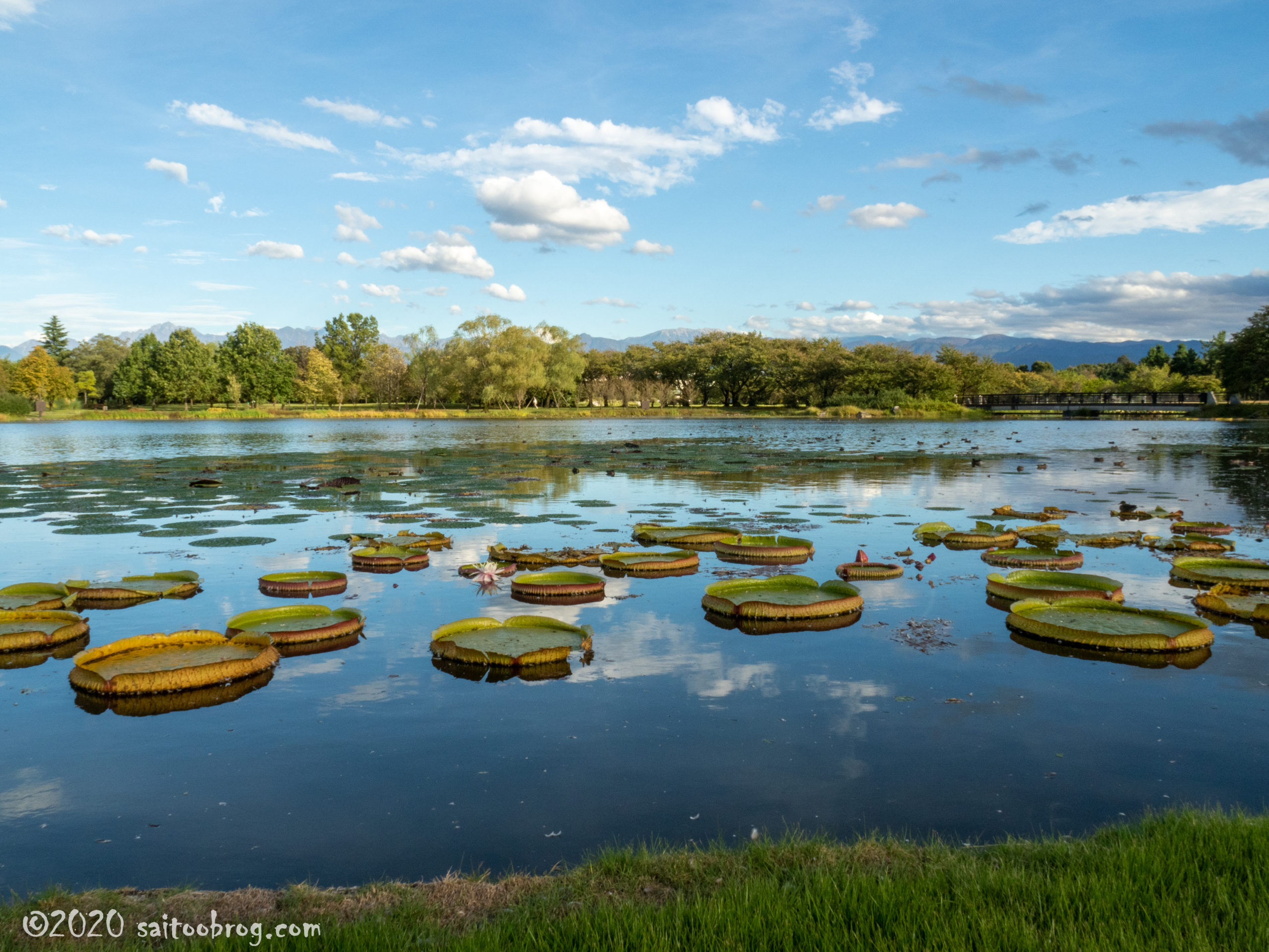 富山県中央植物園で撮影した写真